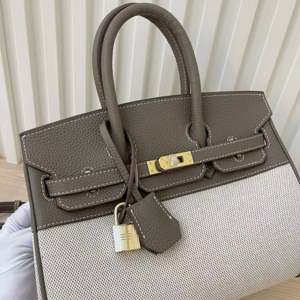 Hermes Birkin 25 Two Tone Toile Canvas Gold Hardware Grey 25Cm - Image 6