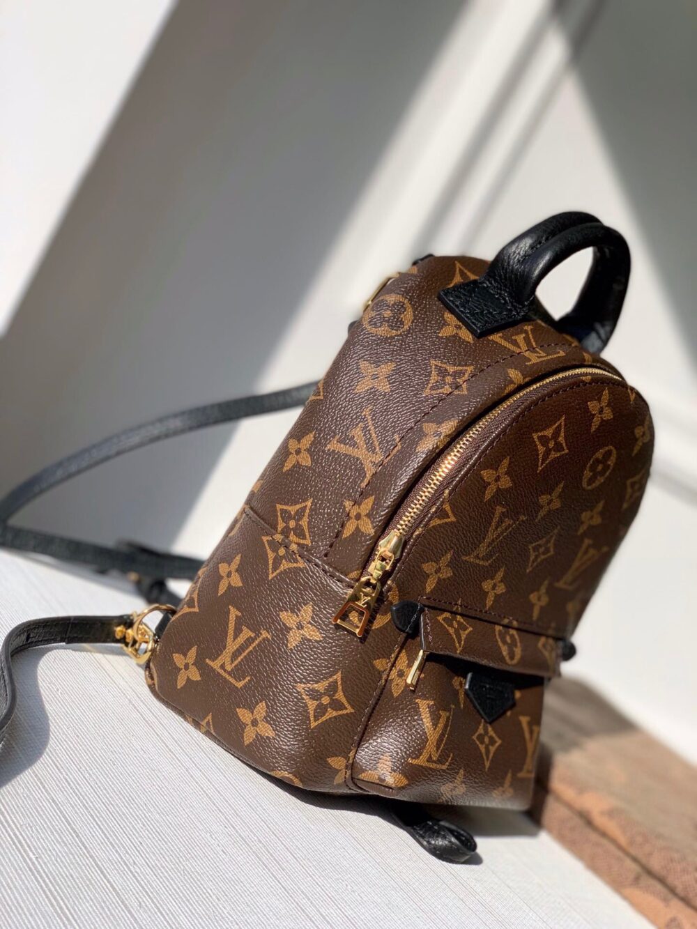 LOUIS VUITTON PALM SPRINGS MINI BACKPACK 22CM M44873 - Image 2