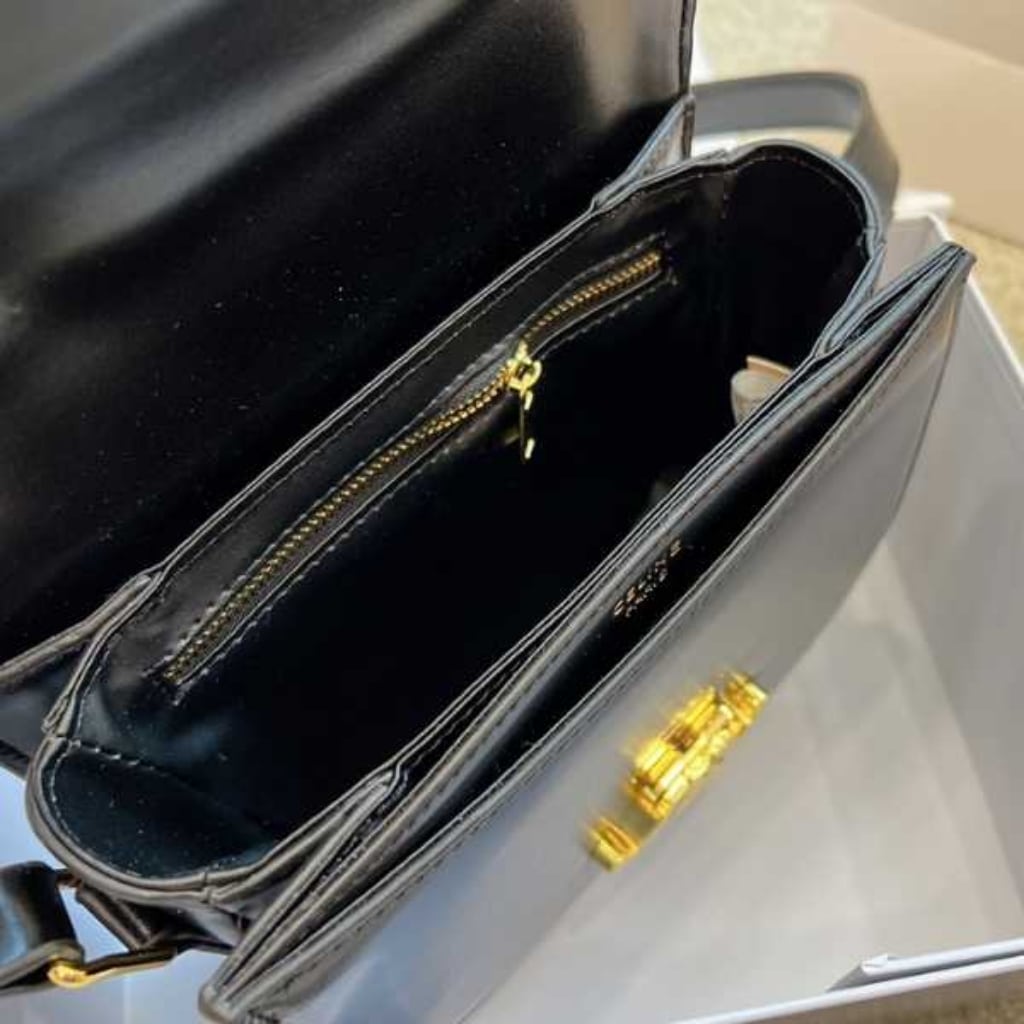 Celine Teen Besace Triomphe In Shiny Black 18cm 110413BF4 38NO - Image 5