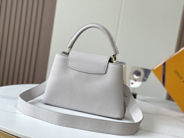 LOUIS VUITTON CAPUCINES BB GRAY M59699 - Image 6