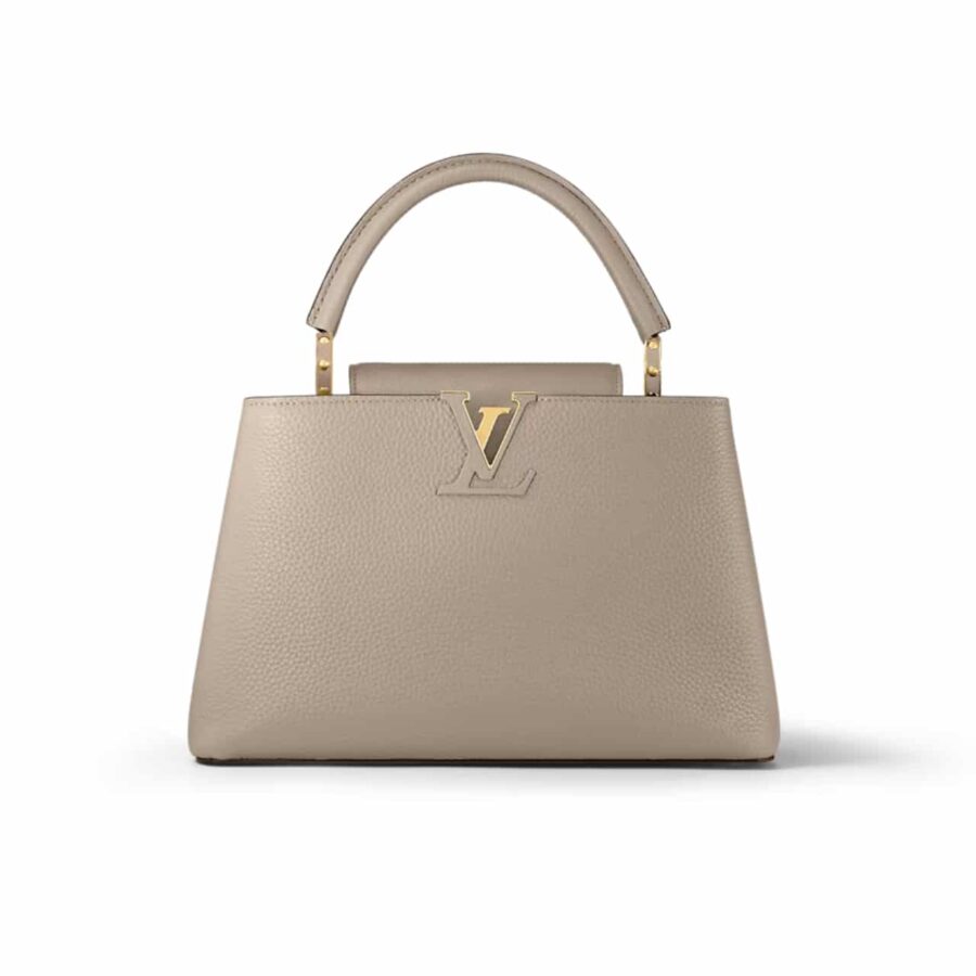 LOUIS VUITTON CAPUCINES MM GREY 31CM M42253