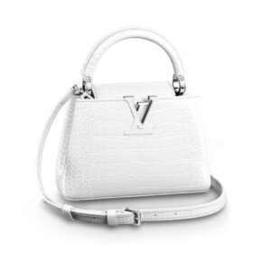 LOUIS VUITTON CAPUCINES MINI WHITE 21CM N93701
