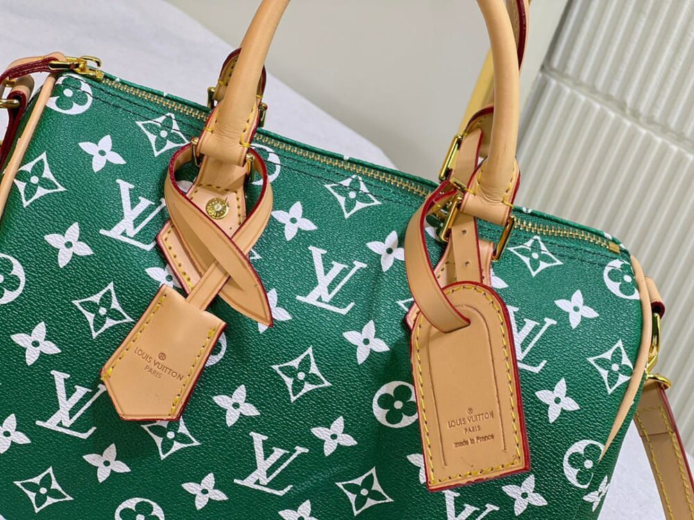 LOUIS VUITTON SPEEDY P9 BANDOULIÈRE MONOGRAM LEATHER GREEN 25CM - Image 5